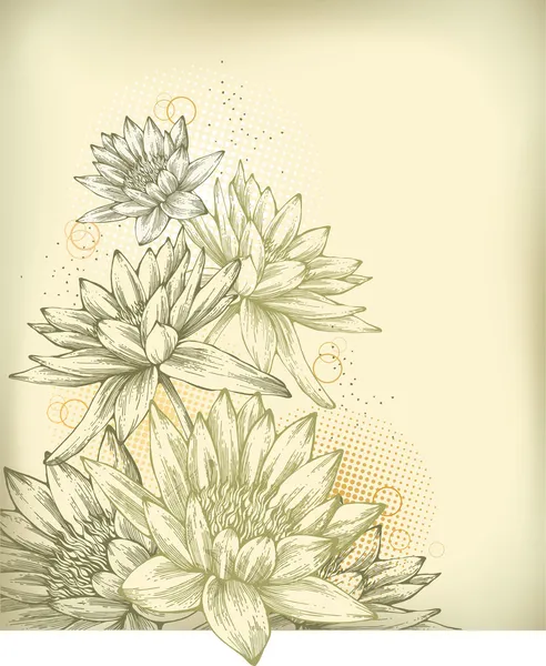 Hintergrund mit handgezeichneten Seerosen — Stockvektor