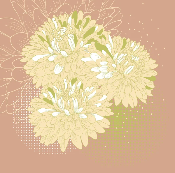盛开菊花的花卉背景 — 图库矢量图片