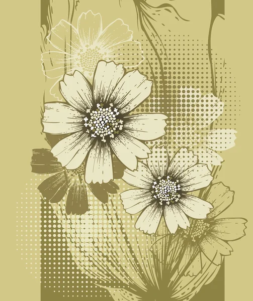 Fond floral avec cosmos en fleurs — Image vectorielle