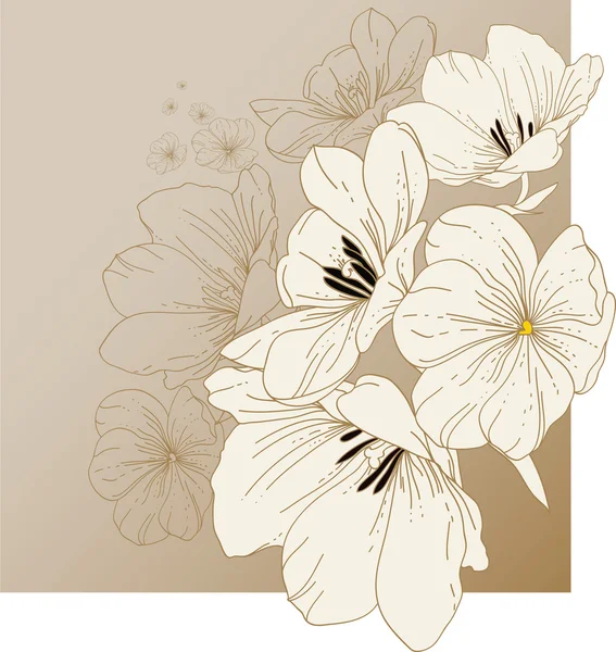 Floral achtergrond met bloeiende tulpen — Stockvector
