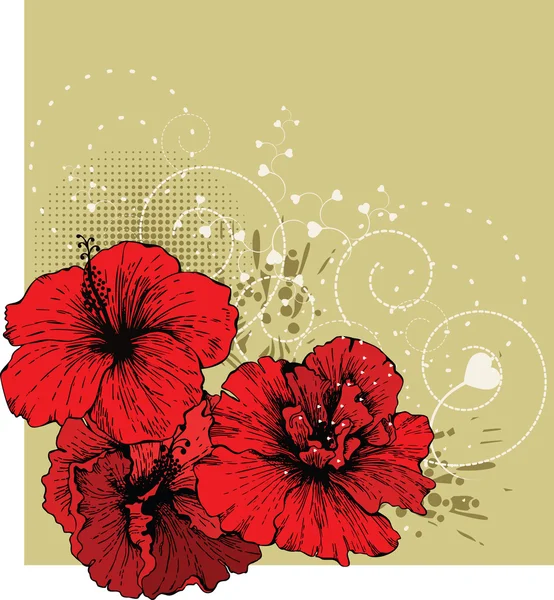 Floraler Hintergrund mit rotem Hibiskus — Stockvektor