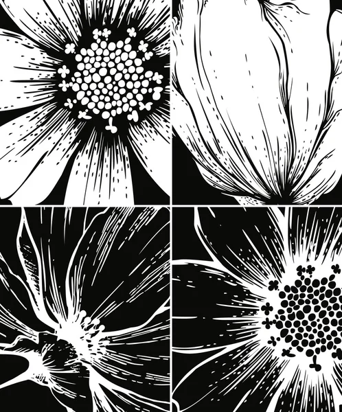 Uppsättning av blommig grafisk bakgrunder — Stock vektor