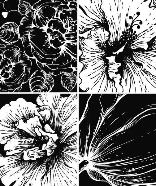 Reihe von floralen grafischen Hintergründen — Stockvektor