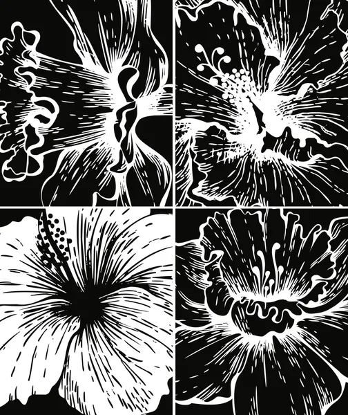 花のグラフィック背景のセット — ストックベクタ