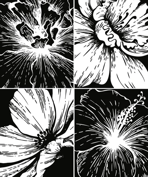 Conjunto de fondos gráficos florales — Archivo Imágenes Vectoriales