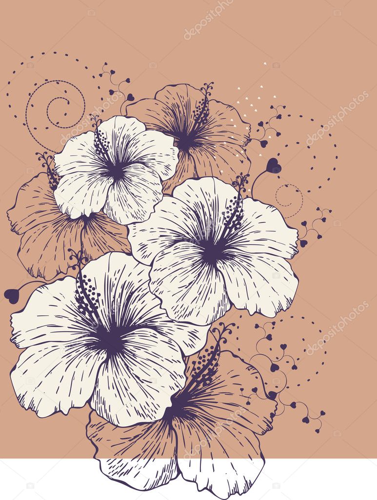 Background with blooming hibiscus