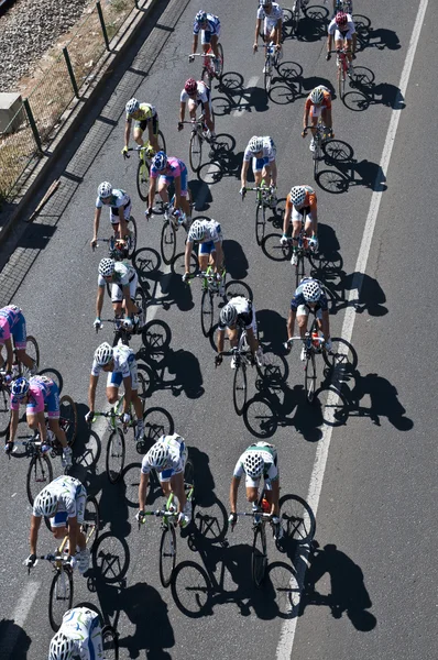 Stock image Professional bicycle race