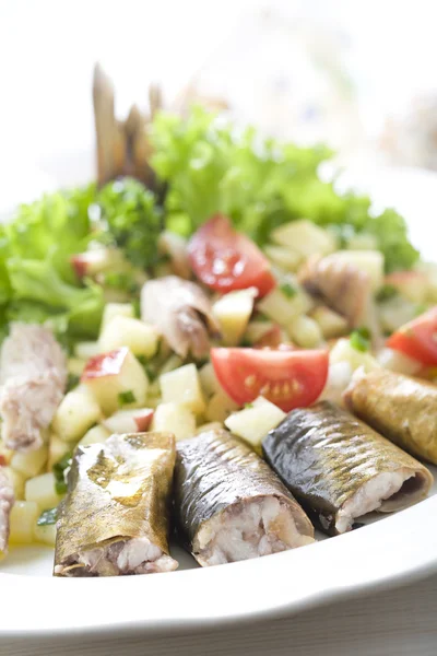 Salat mit geräuchertem Hering — Stockfoto