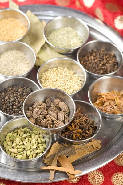 stock image Indian masala spices