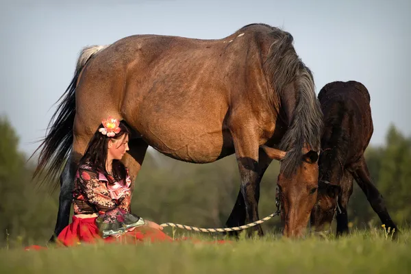 Hermosa chica con caballos al atardecer Imagen de archivo