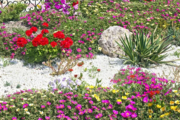 Flower beds — Stock Photo, Image