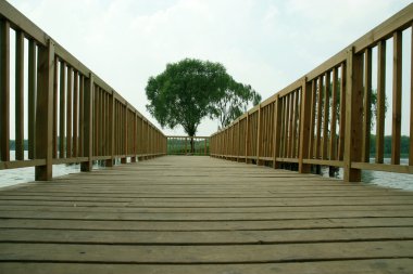 ahşap köprü