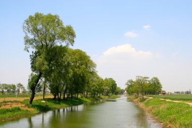 kırsal nehir manzara