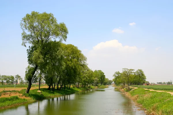 Landsbygdens flodlandskap — Stockfoto