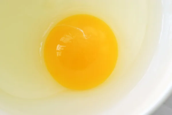 Крупный план яйца — стоковое фото