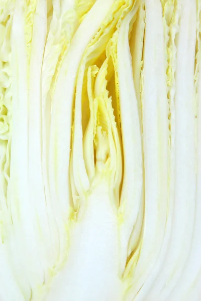 stock image Chinese cabbage