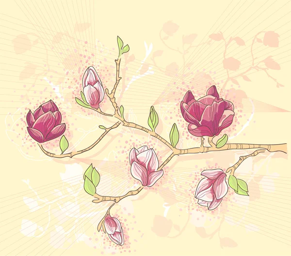 Resumen romántico flor vector fondo con magnolia rama — Vector de stock