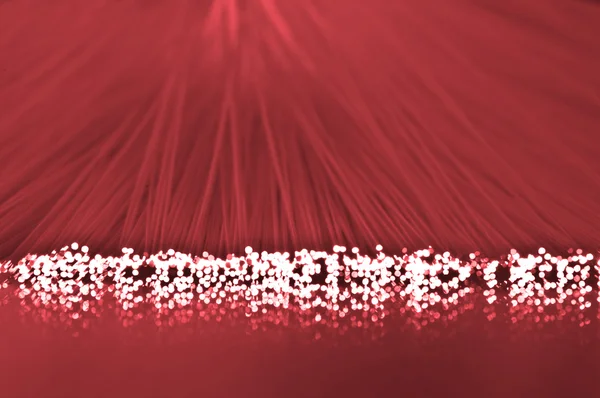 붉은 광 섬유 가닥 — 스톡 사진