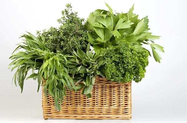 Gyógynövények a kosár Stock Kép