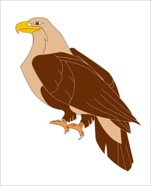 Águila marrón de pie — Vector de stock