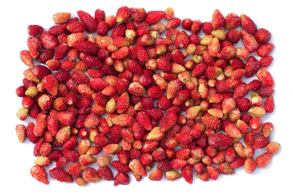 Stock image Background, hundreds of ripe strawberries