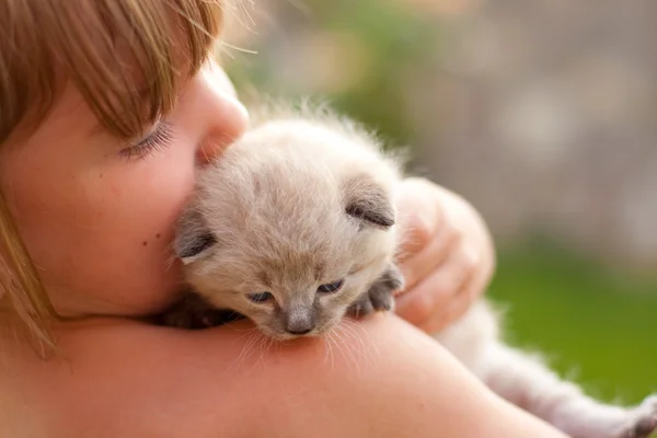 Bambino e un gattino bianco . — Foto Stock