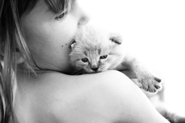 Bambino e un gattino bianco . — Foto Stock