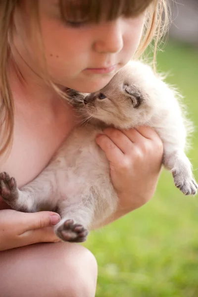 Kind en een witte kitten. — Stockfoto