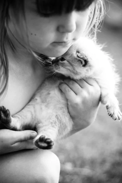Enfant et chaton blanc . — Photo
