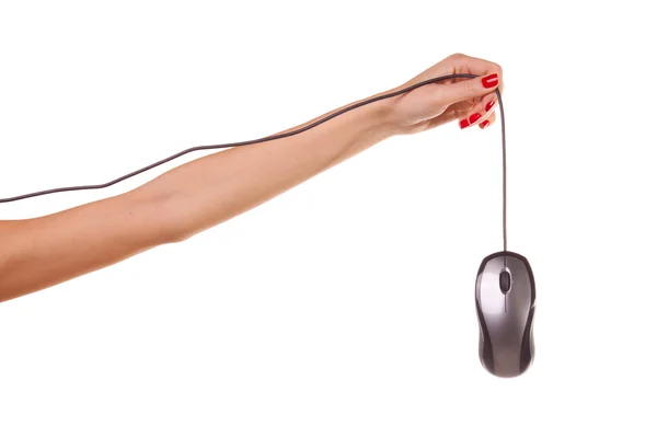 Mão da mulher segurando um mouse computador — Fotografia de Stock