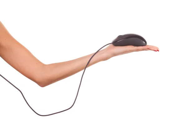 Женская рука, держащая компьютерную мышку — стоковое фото