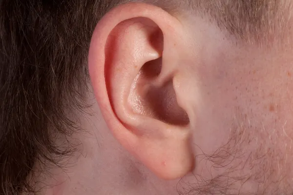 Mannen oor. Close-up. — Stockfoto