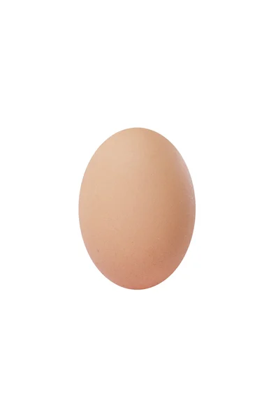 Brown egg isolated — Stock Photo, Image