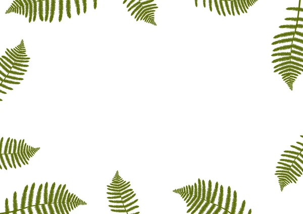 stock vector Fern abstract