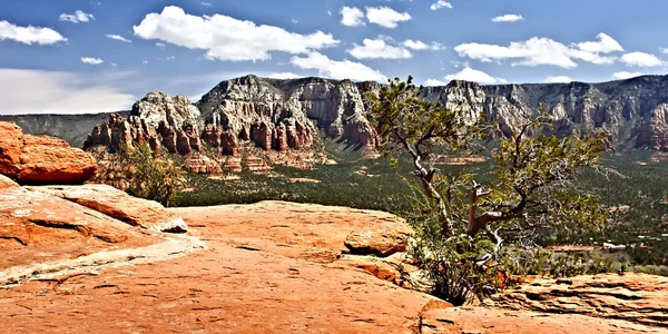 Arizona'nın kırmızı kayalar — Stok fotoğraf