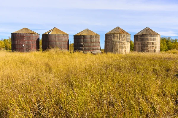 木製の穀物の収納用の箱 — ストック写真
