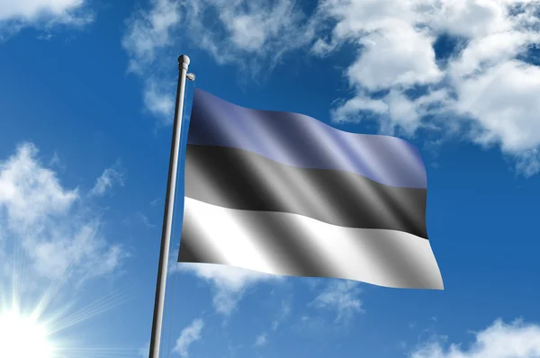 Flagge von Estland — Stockfoto