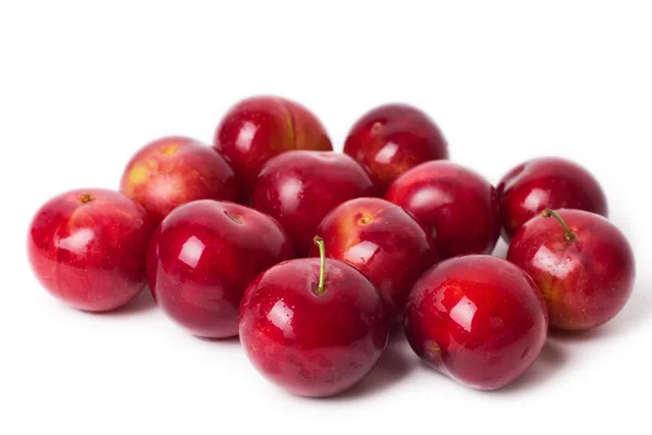 stock image Red plums