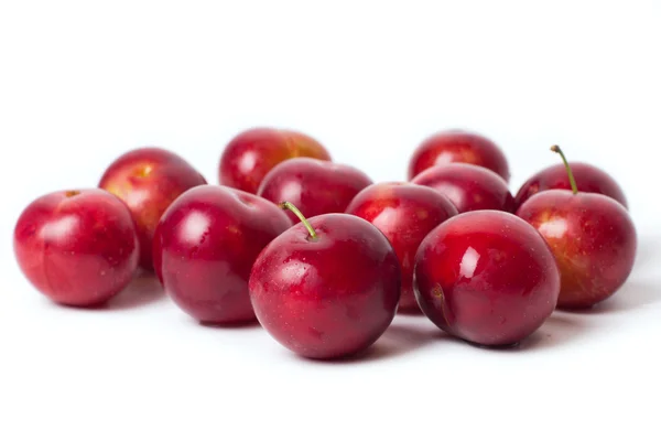 stock image Red plums