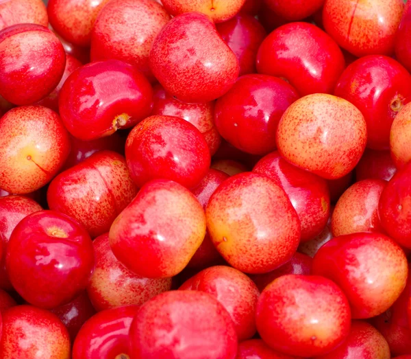 stock image Sweet cherry