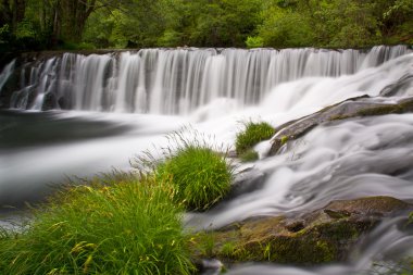 Salto de Agua clipart