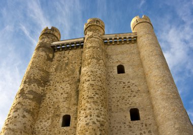 Castillo Valencia de Don Juan