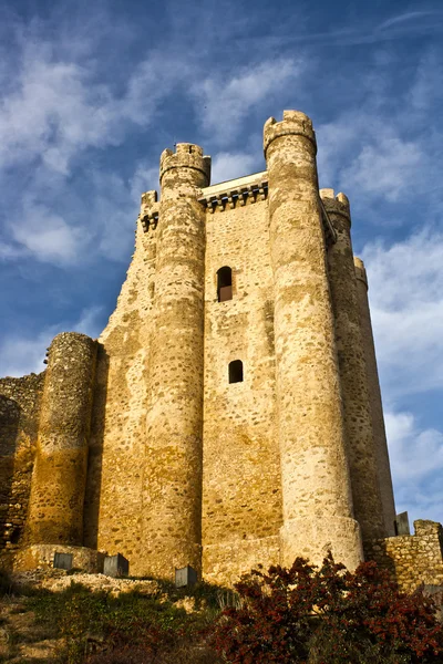 Castillo Valencia de Don Juan — Stockfoto