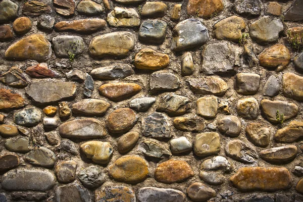 stock image Pared de piedra