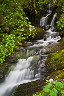 Cascada Busmayor