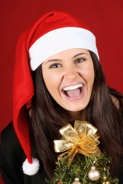 Jultomten flicka med julgran — Stockfoto