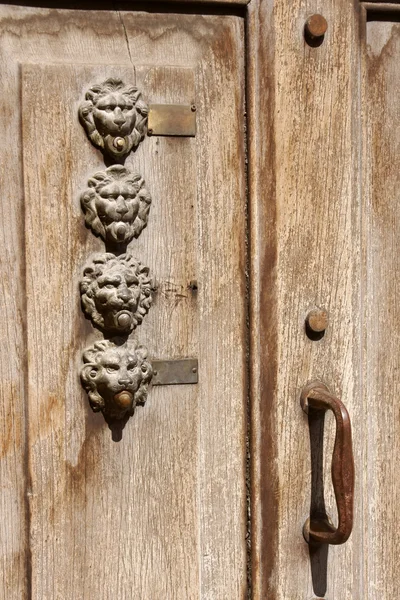 stock image Lion head shaped door bells