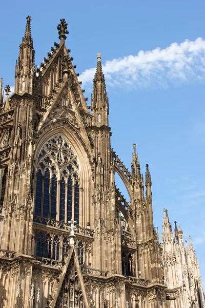 Cologne Cathedral — Stock Photo, Image