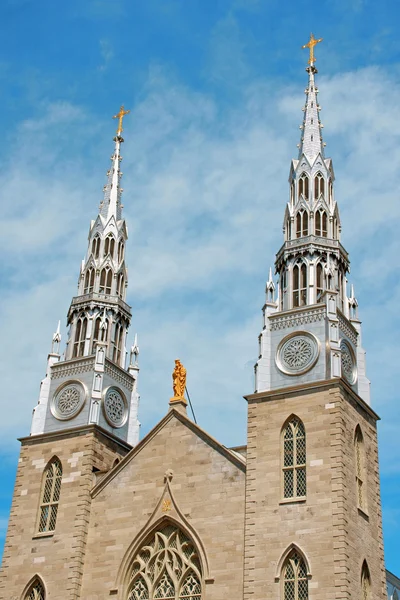 Notre dame katedralen basilica — Stockfoto
