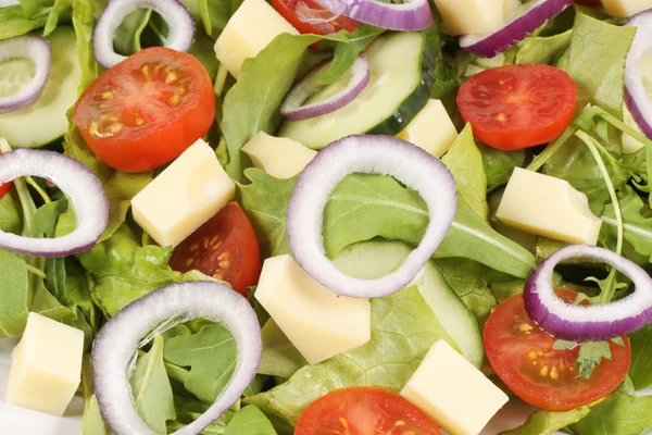 Fresh mixed salad with cheese — Stock Photo, Image